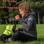 4LegsFriend Hunde-Sicherheitsweste XL mit Leinenbefestigung – Reflektierende Sichtbarkeitsweste – Bild 6