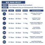 Spark Paws Hunderegenmantel wasserdicht & winddicht – Reflektierender Schutz für alle Grössen – Bild 2
