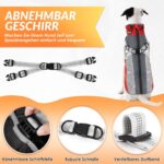 Nasjac Winter Hundemantel mit abnehmbarem Geschirr – Wasserdicht & warm für alle Grössen – Bild 6