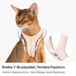 BuddyArmor Katzengeschirr Y-Form M – Ausbruchsicher & Anti-Würgen für sichere Spaziergänge – Bild 4