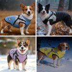 LUOWAN Hundemantel mit Geschirr – Wasserdicht & Warm für kleine Hunde – Bild 4