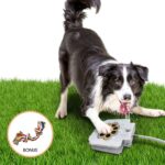 BACOENG Hunde-Trinkbrunnen mit Messingventil – Wasserspender für Garten & Terrasse – Bild 9
