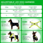 ChalkLit LED Hundegeschirr M – USB-Aufladbar mit 500m Sichtbarkeit, Grün – Bild 4