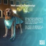 Max & Molly Matrix 2.0 Ultra LED – Hundelicht USB-aufladbar für Halsband & Geschirr – Bild 5