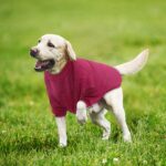 RANYPET 2er Pack Hundepullover 9XL – Warme Strickpullover für grosse Hunde im Winter – Bild 6