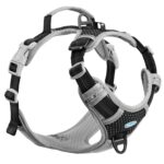 ThinkPet Anti-Zug Hundegeschirr Grösse S – Sicheres Sportgeschirr mit Griff für kleine Hunde