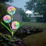 Hqynss Solar-Löwenzahnleuchten 2er-Set – Farbwechsel RGB-LED für Garten & Terrasse – Bild 4