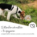 FELLBUDDY Schnüffelball für Hunde – Intelligenzspielzeug mit 8 Schlitzen – Bild 6