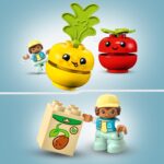 LEGO DUPLO Obst- und Gemüse-Traktor – Lernspielzeug für Kleinkinder ab 1,5 Jahren – Bild 5