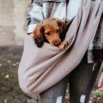 HUNTER Tragebeutel LOS ANGELES – Ergonomische Transporttasche für kleine Hunde & Welpen bis 8 kg – Bild 2