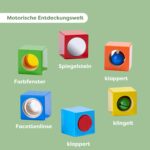 HABA Erkundungssteine – 6 sensorische Holzbausteine ab 1 Jahr mit Motorikförderung – Bild 4