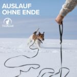 Tierhood Schleppleine 15m – ultraleichte Katzenleine mit Karabiner für Katzen & kleine Hunde – Bild 5