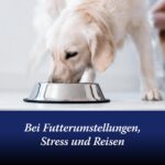 Canosept Darmflora Hund – 30 Tabletten mit Probiotika & Präbiotika für gesunde Verdauung – Bild 5