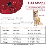 Unique Style Paws Hundehalsband verstellbar XS-XL – Premium Designhalsband für kleine, mittlere & grosse Hunde – Bild 6