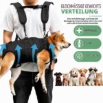 Hundehebegeschirr bis 13,5kg – Tragehilfe mit 3 Tragvarianten für Mobilität & Genesung – Bild 4