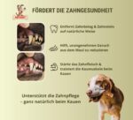 Matchpet Olivenholz Kauknochen L – Natürliches Kauspielzeug für grosse Hunde 26–35 kg – Bild 6