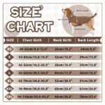 Hjumarayan Hundemantel XXL Wintermantel mit Fleecefutter – Wärmeschutz für grosse Hunde – Bild 3
