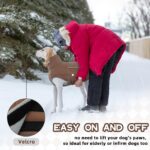 Hjumarayan Hundemantel XXL Wintermantel mit Fleecefutter – Wärmeschutz für grosse Hunde – Bild 4