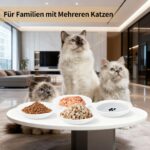 6er Set Keramik Katzennapf flach – Schnurrbart-freundlich & spülmaschinenfest für Katzen – Bild 3