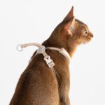 BuddyArmor Katzengeschirr Y-Form M – Ausbruchsicher & Anti-Würgen für sichere Spaziergänge – Bild 7