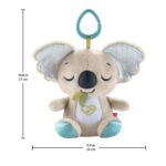 Fisher-Price Koala-Beruhigungsspielzeug – Tragbares Soundgerät mit Weissrauschen für Neugeborene – Bild 3