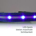 LED Leuchthalsband für Hunde Grösse M – USB-aufladbar mit 10-15h Akkulaufzeit – Bild 7