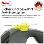 flexi Giant L Hunde Roll-Leine 10m Gurt – Robuste Führleine für grosse Hunde – Bild 5