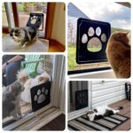 PETLESO Haustierklappe für Fliegengittertür 29×24 cm – Magnetverschluss für Katzen & Hunde – Bild 6