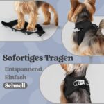 rabbitgoo Hundegeschirr Grösse S mit Air-Mesh – Step-In Ausbruchsicher für kleine Hunde – Bild 5