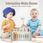 DINORUN 4-in-1 Montessori Holzspielzeug ab 1 Jahr – Motorikspielzeug mit Xylophon – Bild 3
