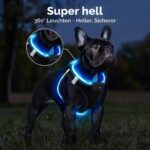 PcEoTllar LED-Hundegeschirr XS aufladbar – 9 Modi, reflektierend für kleine Hunde – Bild 2