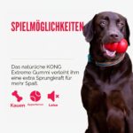 KONG Extreme Ball mit Loch – Beisssfester Spielball für grosse & mittlere Hunde – Bild 6