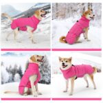 HEYWEAN Winterhundemantel wasserdicht mit Fleece – Warme Hundejacke für kleine bis grosse Hunde – Bild 7