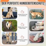 Eyein Hundeschuhe 2er Set Grösse 5 – Pfotenschutz mit Klettverschluss & Rutschfester Sohle – Bild 7