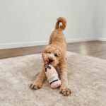 CHEWFFON Champagnerflasche Hundespielzeug mit Quietscher – interaktives Kauspielzeug für alle Hunderassen – Bild 7