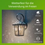 Philips Buzzard Aussenwandleuchte – IP44 Wetterfeste Gartenlampe aus Aluminium – Bild 3