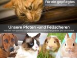 Fellschere 10,5 cm mit Mikroverzahnung – Profi-Hundeschere aus Solingen Made in Germany – Bild 6