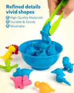 Coogam Dinosaurier Sortier-Set mit 72 Figuren – Montessori Lernspielzeug für Vorschule – Bild 6