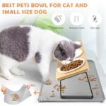 Lannvan Katzennapf Erhöht 3er Set – Keramik Futterstation mit 15° Neigung für Katzen & kleine Hunde – Bild 5