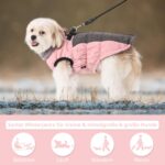 Savlot Wasserdichter Hundemantel mit Fleecefutter – Winterjacke für kleine bis grosse Hunde – Bild 7