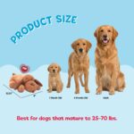 Snuggle Puppy Original Kuscheltier mit Herzschlag – Beruhigendes Hundespielzeug für Welpen – Bild 3