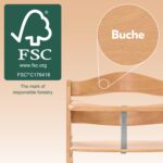 hauck Alpha+ Holz-Hochstuhl – Mitwachsend von 6 Monaten bis 90 kg für Familien – Bild 7