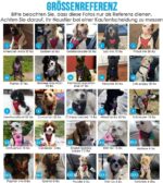 SlowTon Hundegeschirr Grösse S mit Autosicherheitsgurt – atmungsaktiv & sicher für Reisen – Bild 8