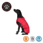 Ancol Stormguard Hundemantel Grösse L – Wasserdichter Allwetter-Schutz für mittlere Hunderassen – Bild 7