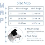 ILEPARK Hundehalfter L Schwarz – Gepolstert, verstellbar & zugfrei für sicheres Spazierengehen – Bild 3