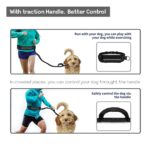 Edipets Joggingleine Hunde 160-220 cm – Freihändig Laufen mit Anti-Stress-System – Bild 5