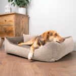 4L Textil Molly Cord Hundebett 100x80 cm – Maschinenwaschbar für mittelgrosse Hunde – Bild 3