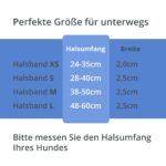 LED Leuchthalsband für Hunde Grösse M – USB-aufladbar mit 10-15h Akkulaufzeit – Bild 5