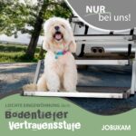 JOBUKAM Hundetreppe Auto 80 cm klappbar – Einstiegshilfe für grosse Hunde bis 70 kg – Bild 6