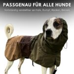 Spark Paws Hunderegenmantel wasserdicht & winddicht – Reflektierender Schutz für alle Grössen – Bild 5